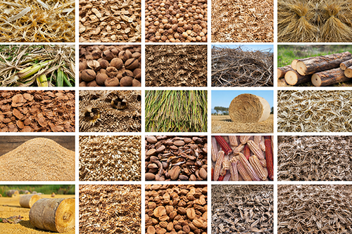 agriculture waste